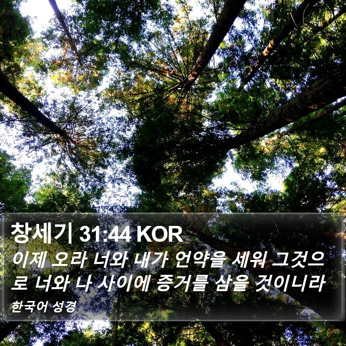 창세기 31:44 KOR Bible Study