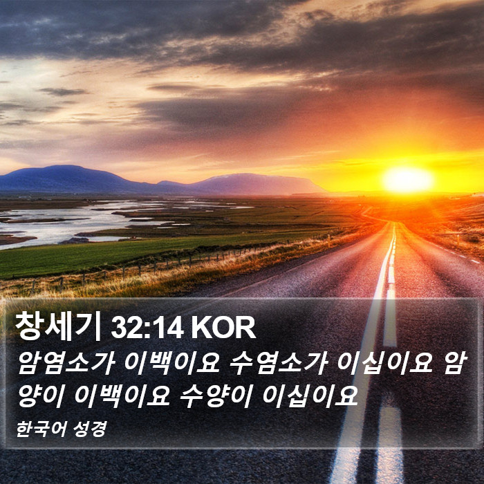 창세기 32:14 KOR Bible Study