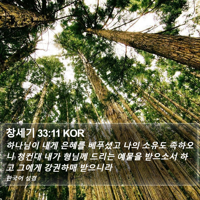 창세기 33:11 KOR Bible Study