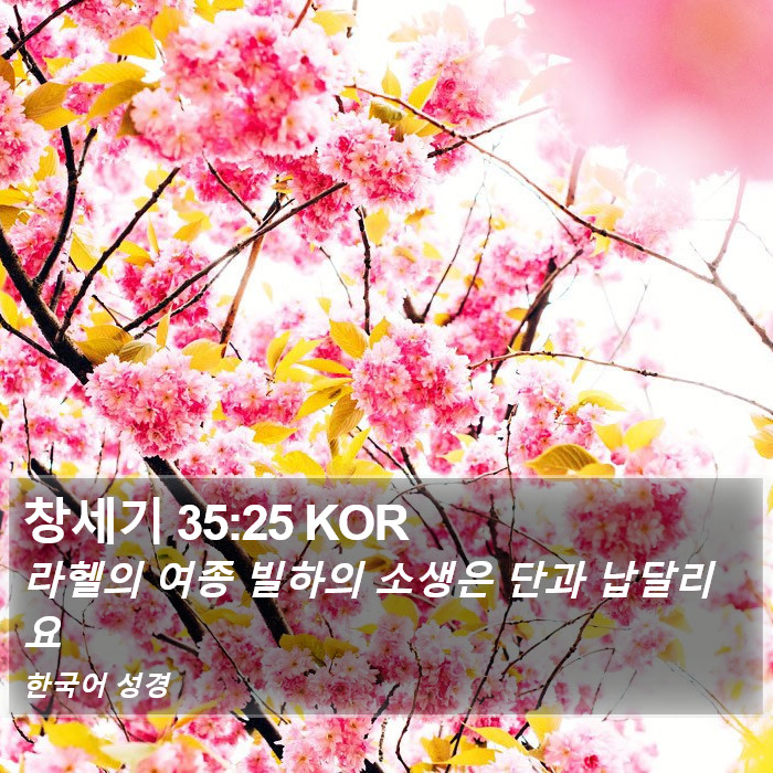 창세기 35:25 KOR Bible Study