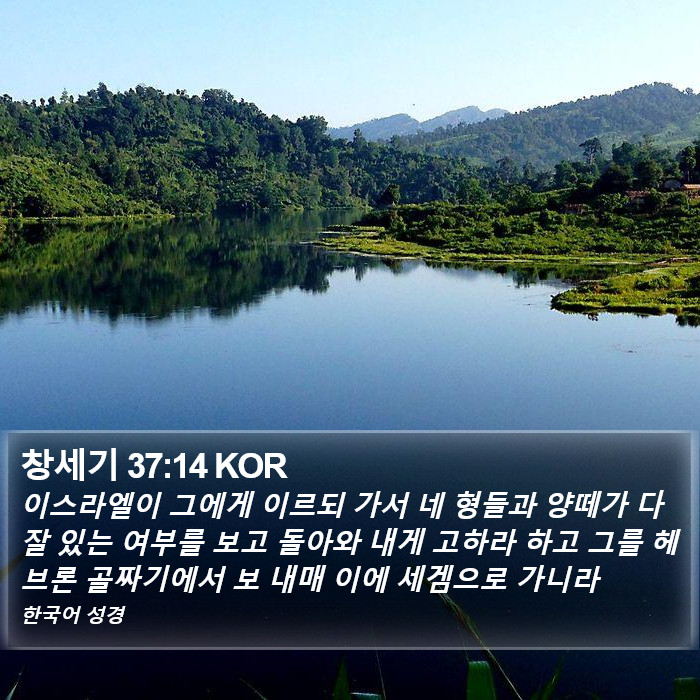 창세기 37:14 KOR Bible Study
