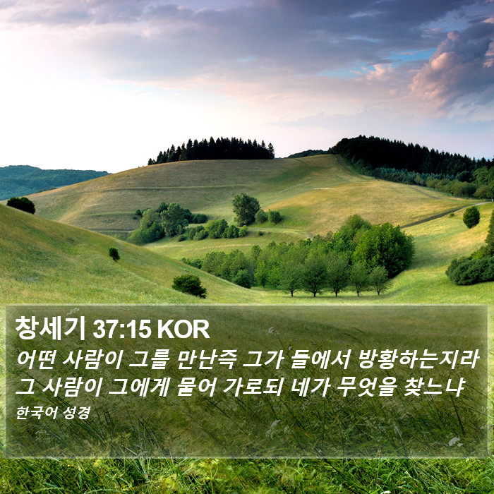 창세기 37:15 KOR Bible Study