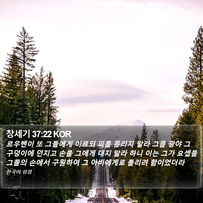 창세기 37:22 KOR Bible Study