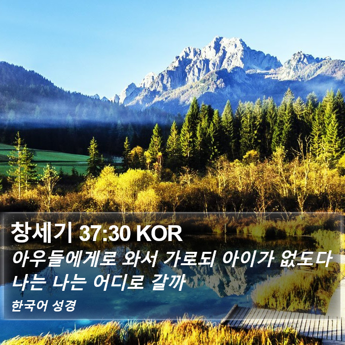 창세기 37:30 KOR Bible Study