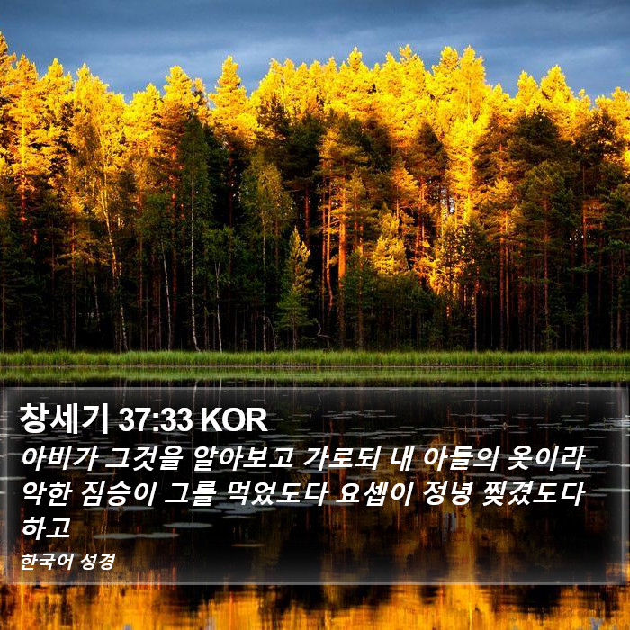 창세기 37:33 KOR Bible Study