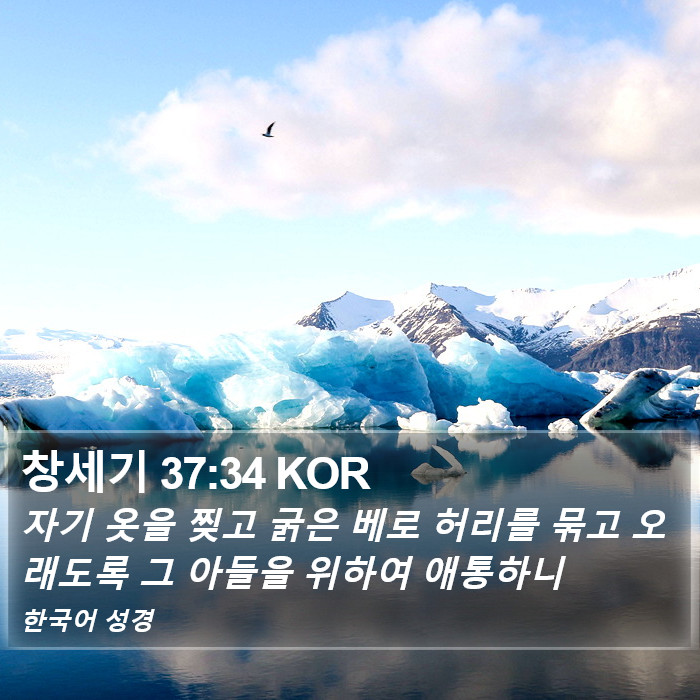 창세기 37:34 KOR Bible Study
