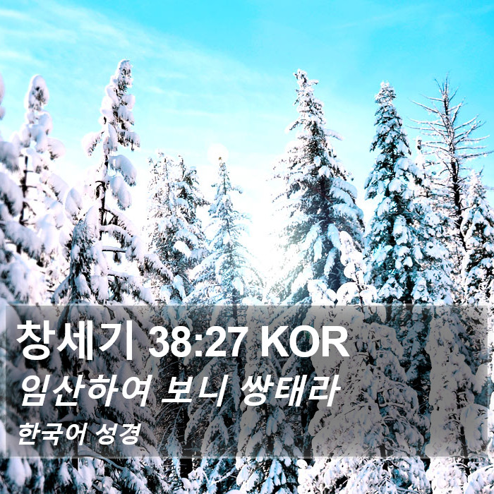 창세기 38:27 KOR Bible Study