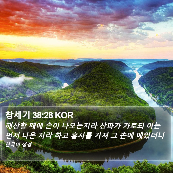 창세기 38:28 KOR Bible Study