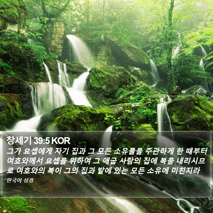 창세기 39:5 KOR Bible Study