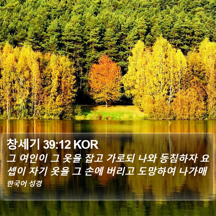 창세기 39:12 KOR Bible Study