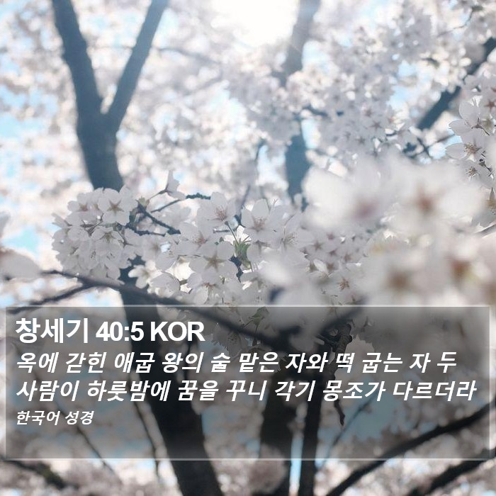 창세기 40:5 KOR Bible Study