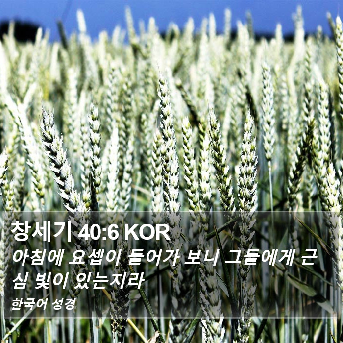 창세기 40:6 KOR Bible Study