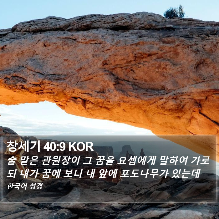 창세기 40:9 KOR Bible Study