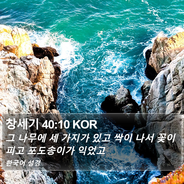 창세기 40:10 KOR Bible Study