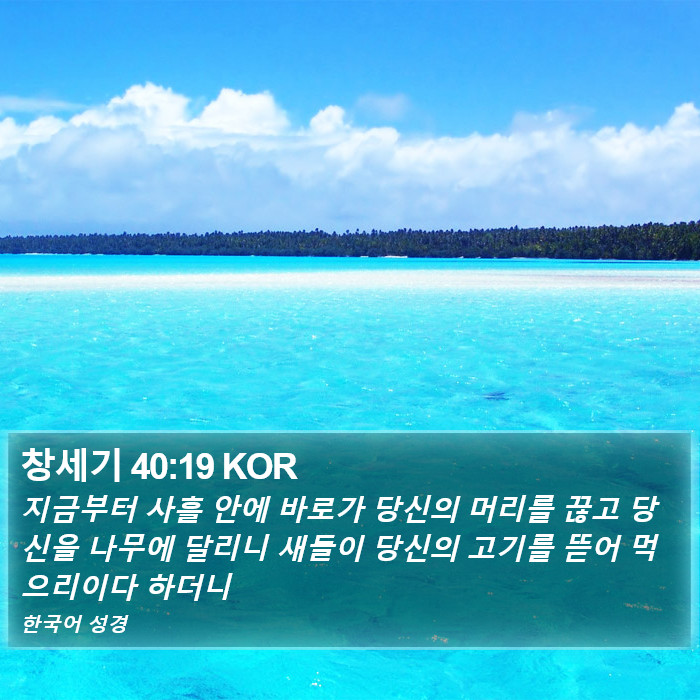 창세기 40:19 KOR Bible Study
