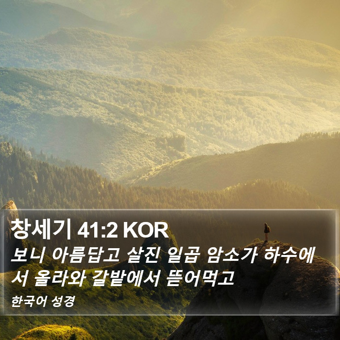 창세기 41:2 KOR Bible Study