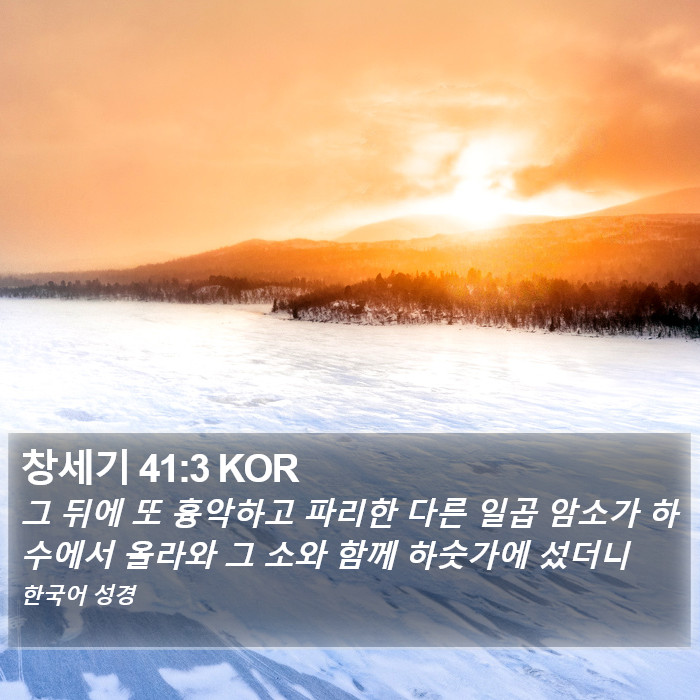 창세기 41:3 KOR Bible Study