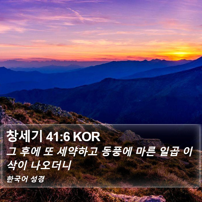 창세기 41:6 KOR Bible Study