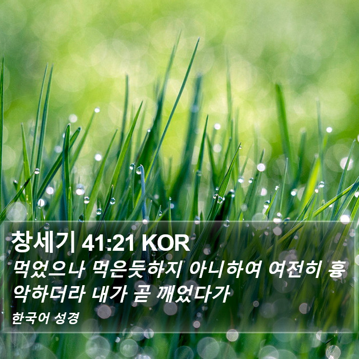 창세기 41:21 KOR Bible Study