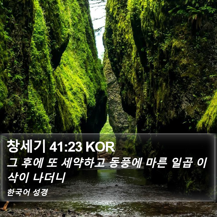 창세기 41:23 KOR Bible Study