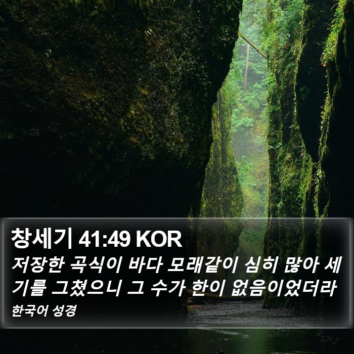 창세기 41:49 KOR Bible Study