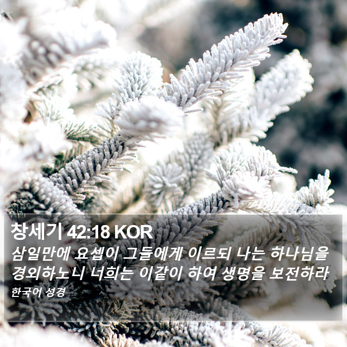 창세기 42:18 KOR Bible Study