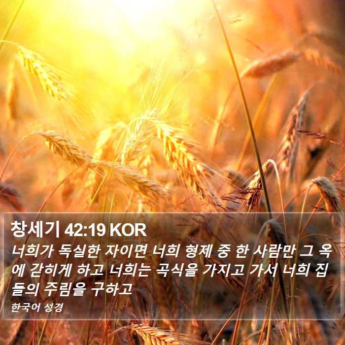 창세기 42:19 KOR Bible Study