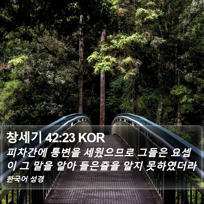 창세기 42:23 KOR Bible Study