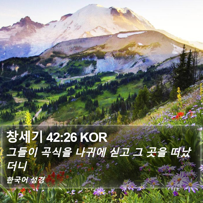 창세기 42:26 KOR Bible Study