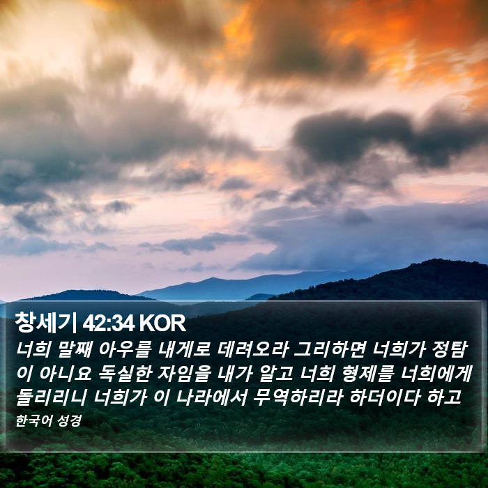 창세기 42:34 KOR Bible Study