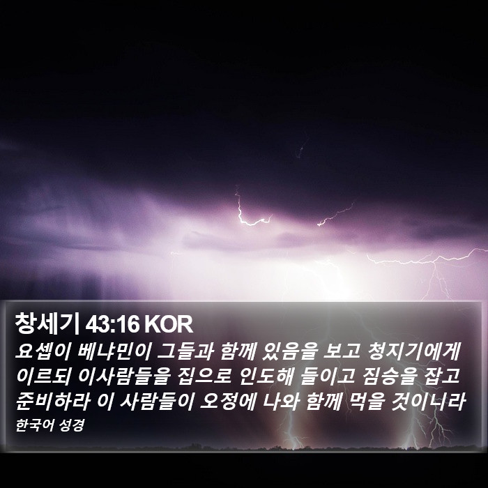 창세기 43:16 KOR Bible Study