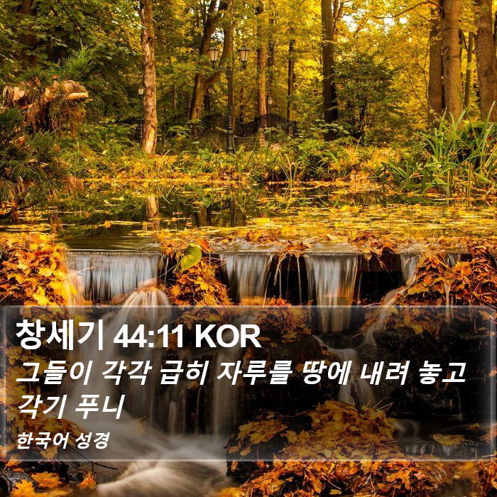 창세기 44:11 KOR Bible Study