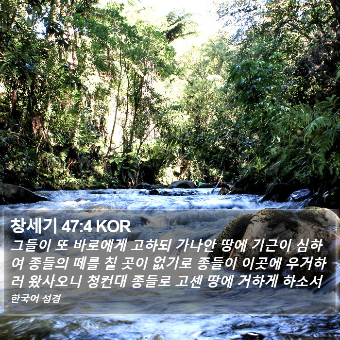 창세기 47:4 KOR Bible Study