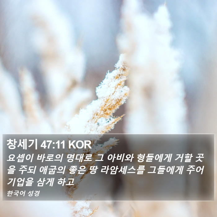 창세기 47:11 KOR Bible Study