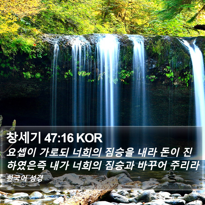 창세기 47:16 KOR Bible Study