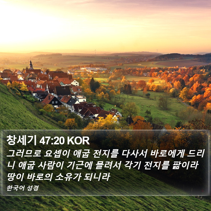 창세기 47:20 KOR Bible Study