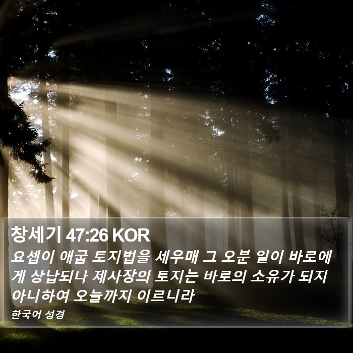 창세기 47:26 KOR Bible Study