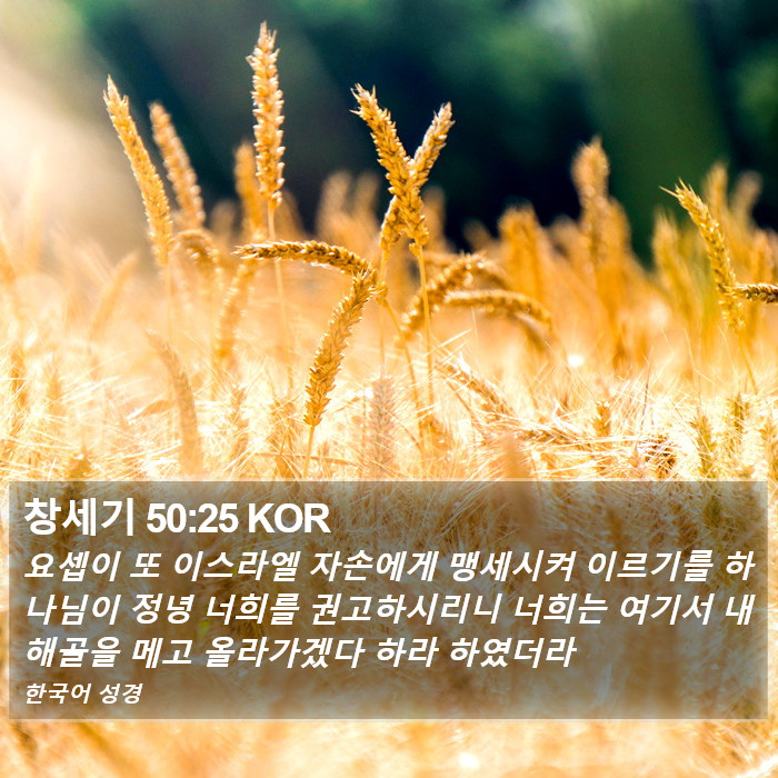 창세기 50:25 KOR Bible Study