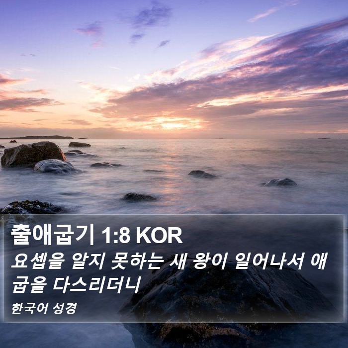 출애굽기 1:8 KOR Bible Study