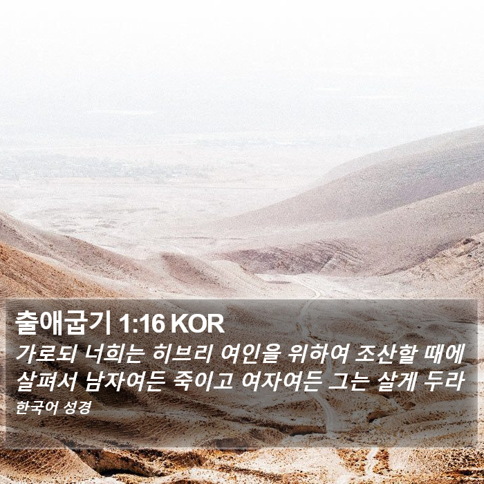 출애굽기 1:16 KOR Bible Study