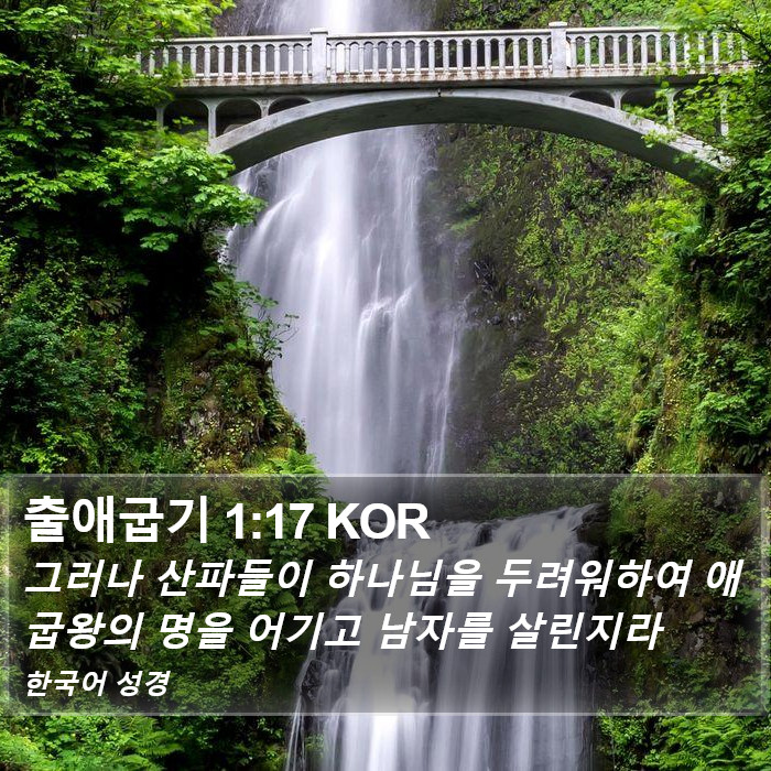 출애굽기 1:17 KOR Bible Study