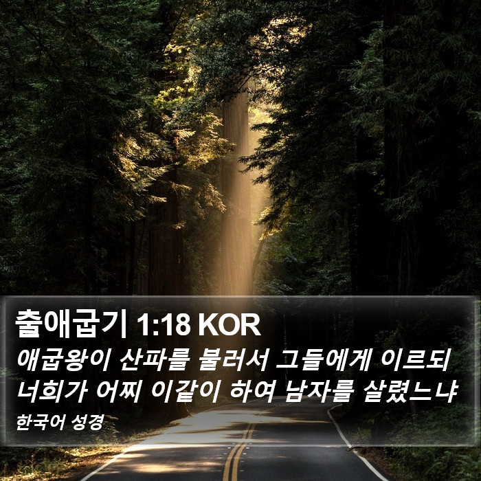 출애굽기 1:18 KOR Bible Study