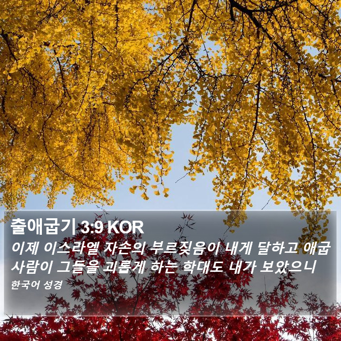 출애굽기 3:9 KOR Bible Study