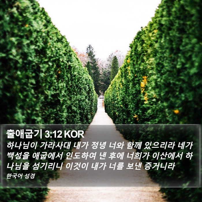 출애굽기 3:12 KOR Bible Study