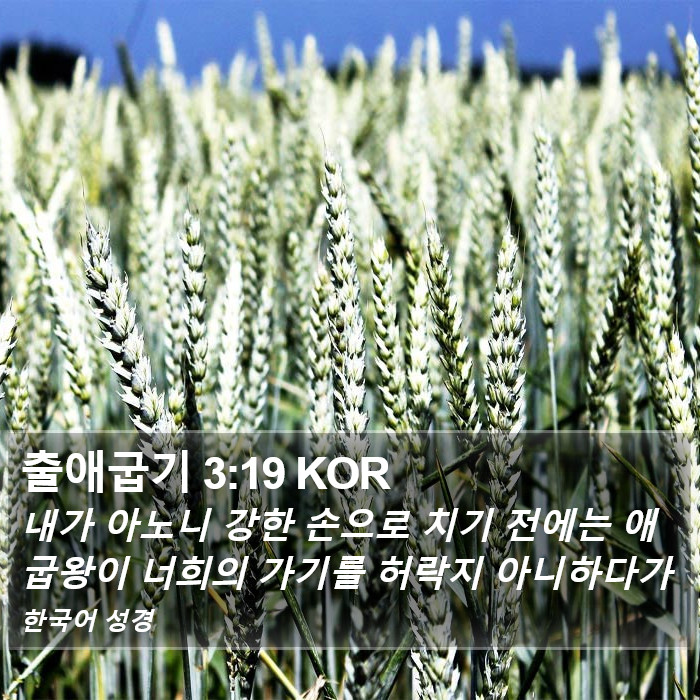 출애굽기 3:19 KOR Bible Study