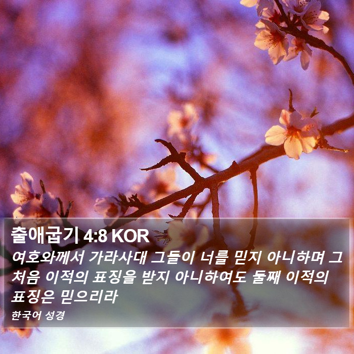 출애굽기 4:8 KOR Bible Study