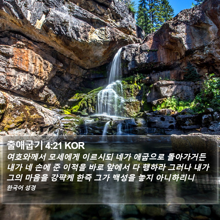 출애굽기 4:21 KOR Bible Study