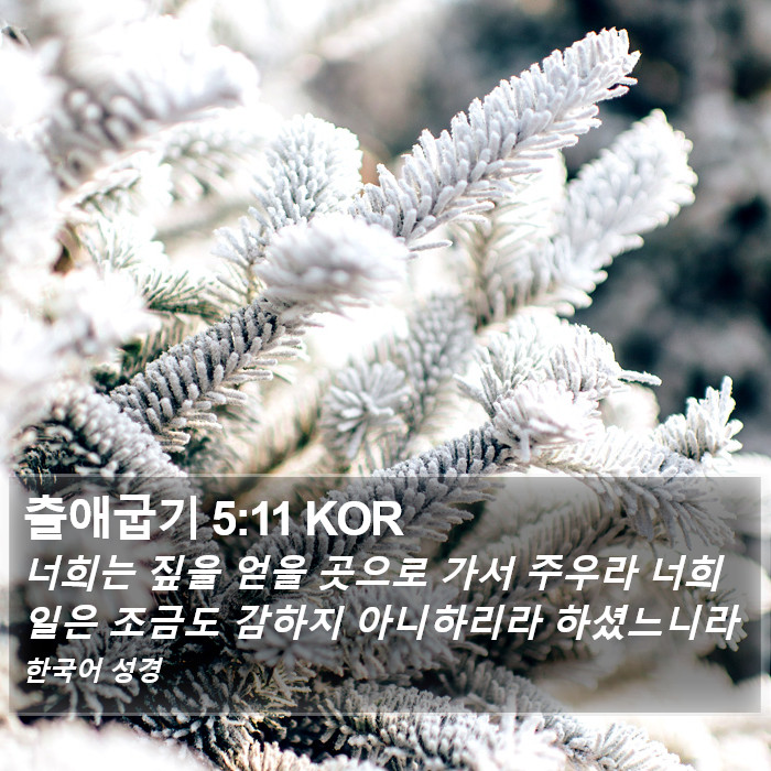 출애굽기 5:11 KOR Bible Study