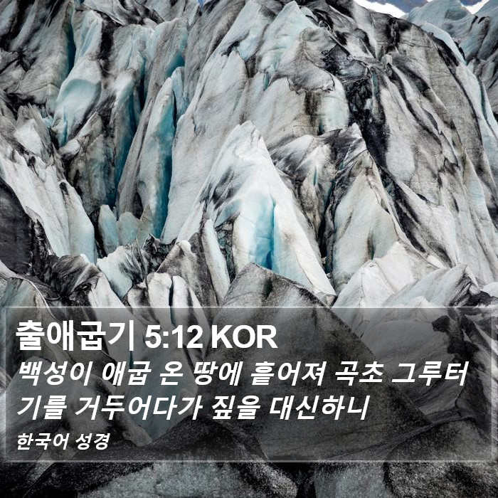 출애굽기 5:12 KOR Bible Study
