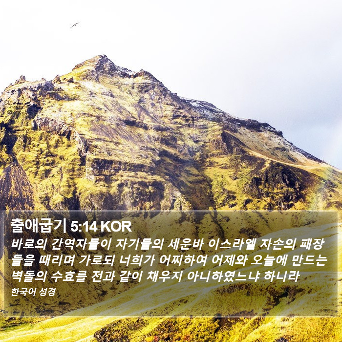 출애굽기 5:14 KOR Bible Study